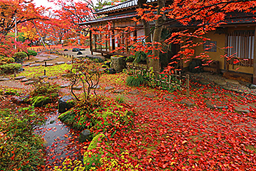 「【特集1】まつり特集」の画像