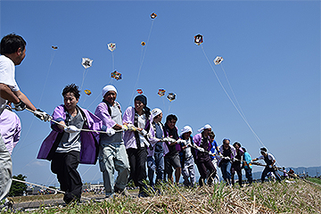 「今町・中之島大凧合戦を開催」の画像