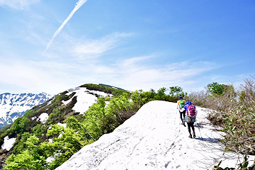 「登山ルートは複数あります」の画像2