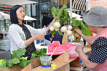 「取れたての春野菜」の画像