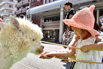 「アルパカふれあいコーナー」の画像