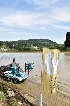 「「金匠」の作付けが本格的に始まりました」の画像