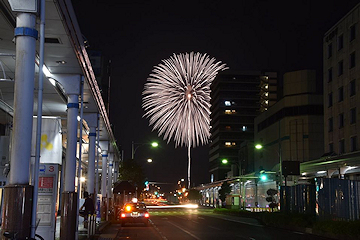 「慰霊の花火「白菊」」の画像2