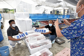 「断熱性の高い発泡スチロール製の出荷箱」の画像2