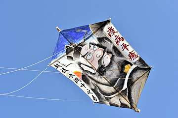 「「疫病平癒」の文字を掲げた大凧」の画像
