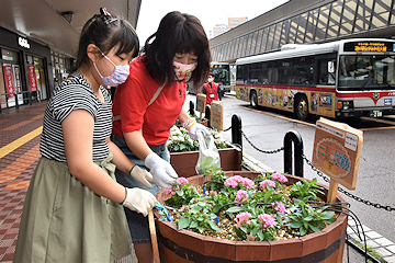 「長岡駅前市民プランターづくり」の画像
