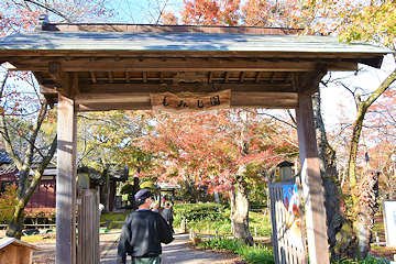 「もみじ園の紅葉が見頃です」の画像1