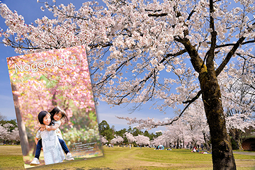 「表紙は悠久山公園の桜です」の画像