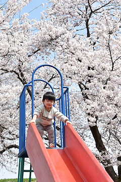 「今宮公園」の画像3