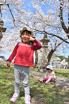 「悠久山公園」の画像3