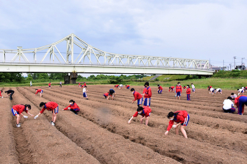 「「花・はな広場」でひまわりの種まき」の画像2