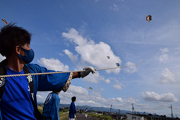 「刈谷田川の堤防で「大凧」の技能伝承会が行われました」の画像