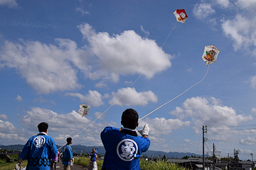 「大空高く舞い上がる大凧」の画像