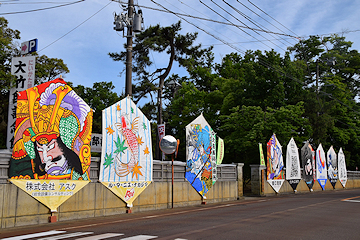 「地域内の歩道や店先などに大凧を展示」の画像