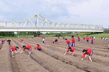 「大島中学校の生徒や地域住民による手入れ」の画像