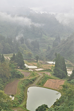 「棚田と雲海が織りなす風景」の画像1