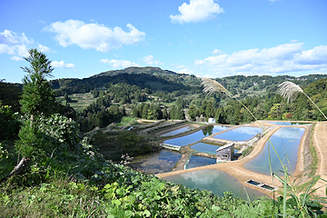 「“山の暮らし”の体験」の画像