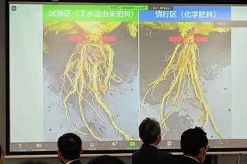 「下水道由来資源の肥料を使った取り組みなどを発表」の画像