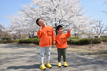 「千秋が原ふるさとの森」の画像