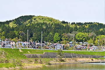 「岩田鯉のぼり」の画像1