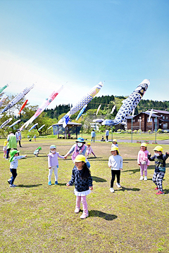 「約300匹のこいのぼり」の画像1