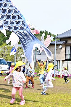 「約300匹のこいのぼり」の画像2