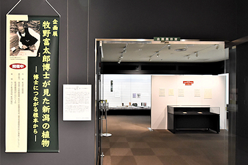 「新潟を訪れた際のエピソードや鑑定標本などを展示」の画像