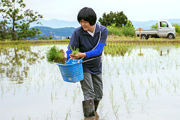 「最後まで丁寧に苗を植えた2人」の画像1