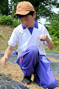 「整備の大変さや土地の成り立ちなども学習」の画像2