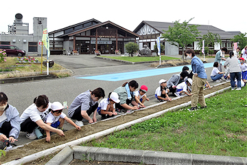 「色とりどりの花が咲く花壇を管理」の画像1