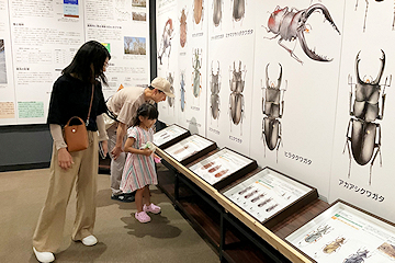 「企画展「長岡カブト・クワガタ学」」の画像