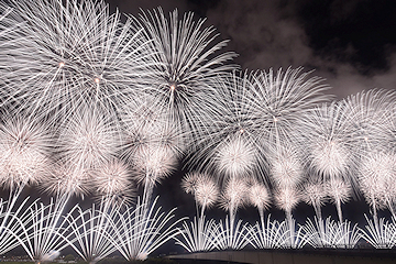 「復興祈願花火フェニックス」の画像
