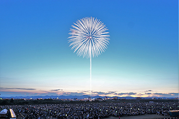「10号3発「白菊」」の画像