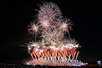 「花火「この空の花」」の画像