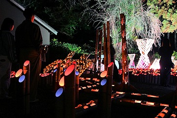 「柔らかな明かりに彩られた街並みを楽しんでいました」の画像1