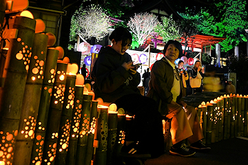 「柔らかな明かりに彩られた街並みを楽しんでいました」の画像2