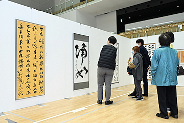 「6部門で533点を展示しています」の画像1