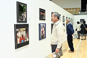 「6部門で533点を展示しています」の画像2