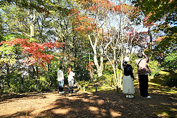 「思い思いに紅葉の撮影を楽しんでいました」の画像