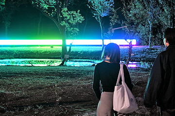 「森の中に設置された作品」の画像