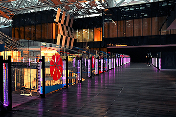 「パープル・ライトアップ」の画像