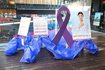 「DVチェックリストを展示」の画像1