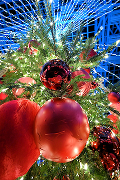「ツリーのオーナメント」の画像1