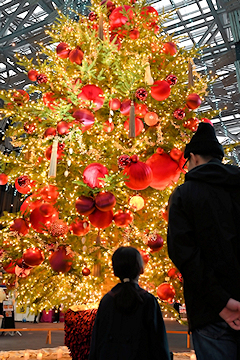 「ツリーのオーナメント」の画像2