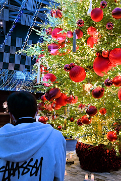 「光の世界をお楽しみください」の画像