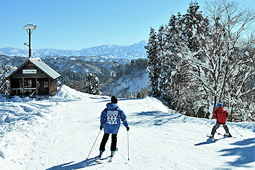 「家族連れから学生まで多くの人でにぎわっていました」の画像2