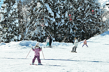 「家族連れから学生まで多くの人でにぎわっていました」の画像4