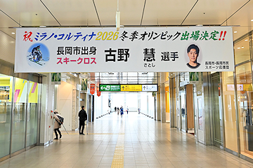 「市内3カ所に横断幕などを設置しています」の画像