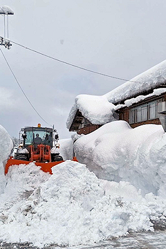 「川口地域」の画像2