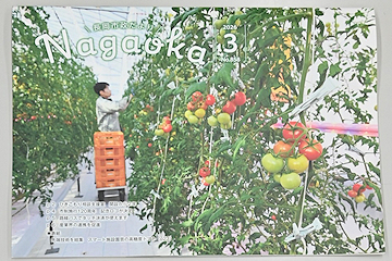 「表紙は「あぐらって長岡」の高糖度トマト」の画像